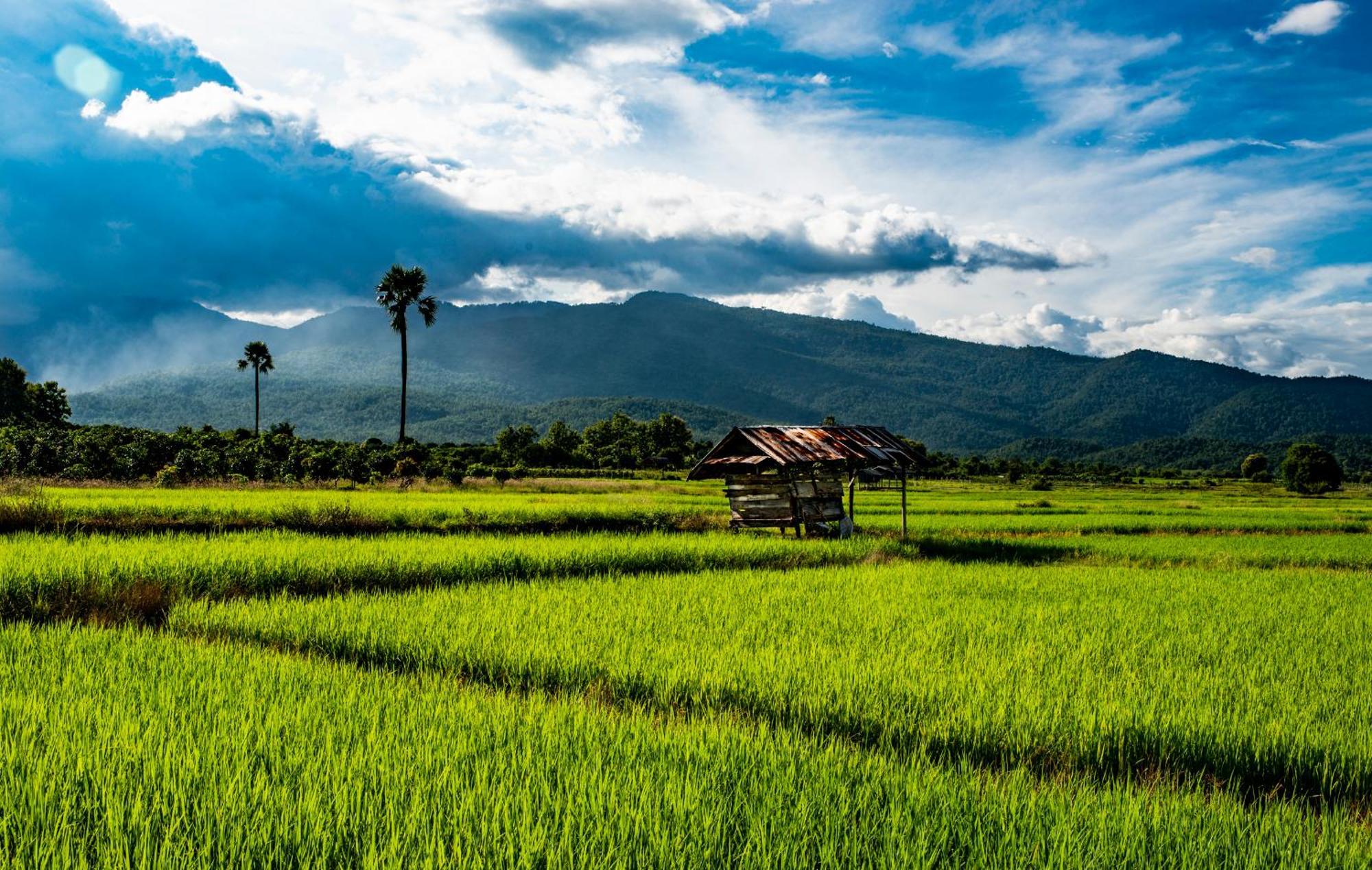 Suan Sook Homestay Chom Thong Εξωτερικό φωτογραφία